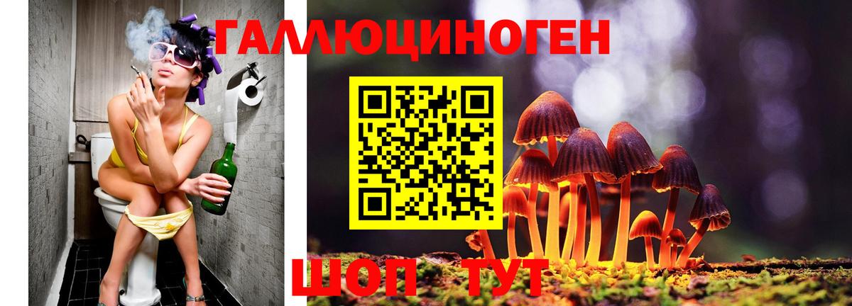 Заринск  Галлюциногенные грибы Magic Shrooms  Вход с VPN 